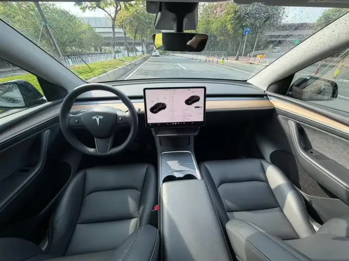 Model Y 2022 Model Rear-wheel drive version – фото 6