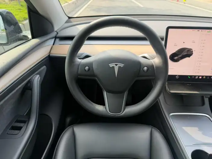 Model Y 2022 Model Rear-wheel drive version – фото 7
