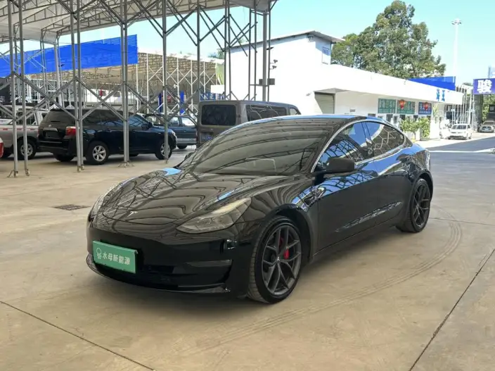 Model 3 2022 Model Performance High performance All-wheel drive version – фото 1
