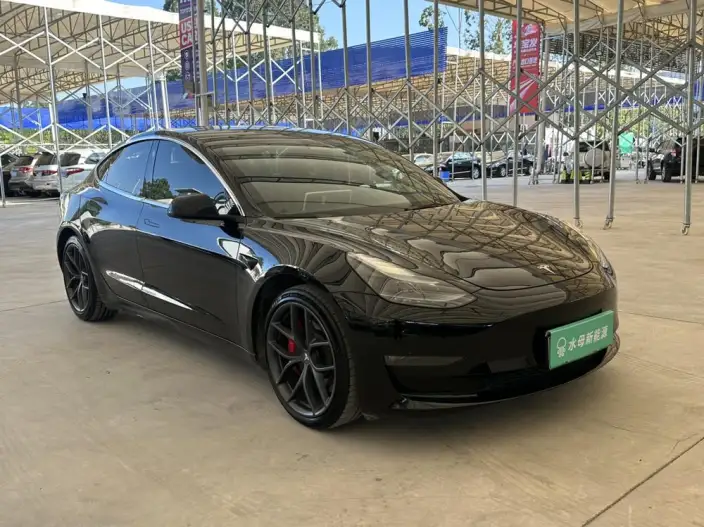 Model 3 2022 Model Performance High performance All-wheel drive version – фото 3