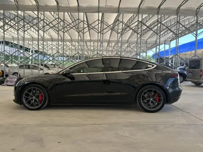 Model 3 2022 Model Performance High performance All-wheel drive version – фото 4