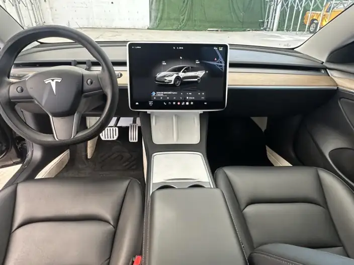 Model 3 2022 Model Performance High performance All-wheel drive version – фото 10