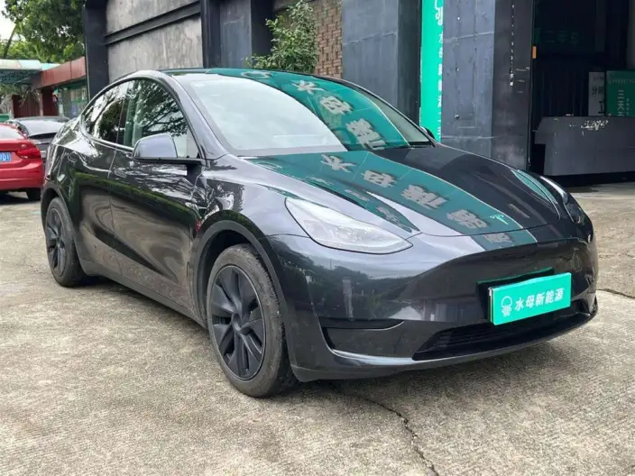 Model Y 2024 Model Rear-wheel drive version – фото 3