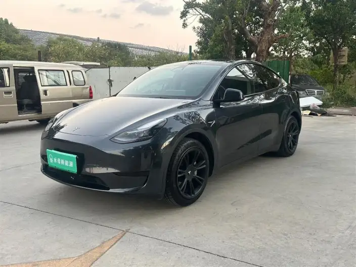 Model Y 2024 Model Rear-wheel drive version – фото 1