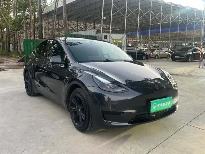 Model Y 2024 Model Rear-wheel drive version – фото 3