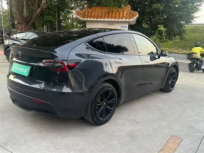 Model Y 2024 Model Rear-wheel drive version – фото 6
