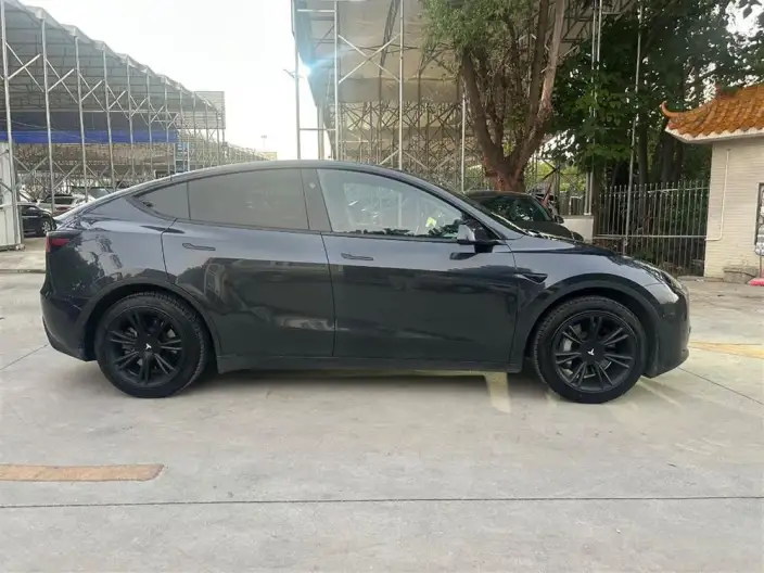 Model Y 2024 Model Rear-wheel drive version – фото 7