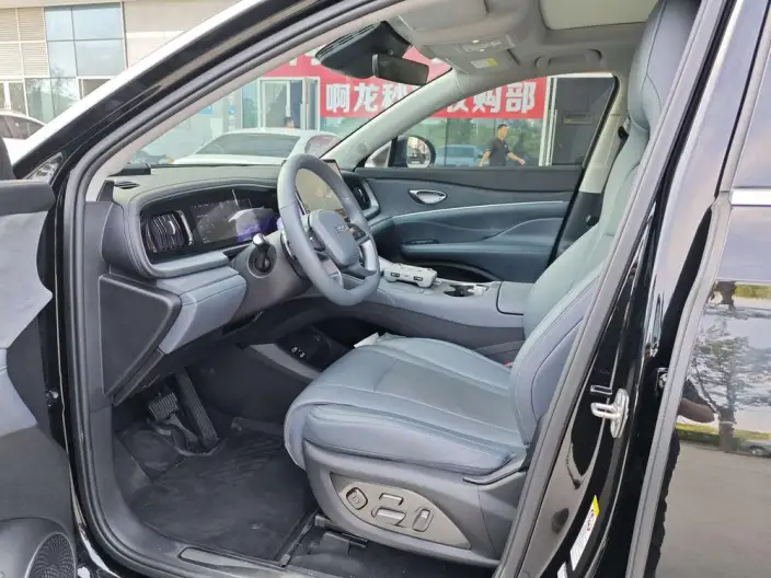 Haise 07DM 2025 Model DM-i 150KM Pilot + Edition – фото 8