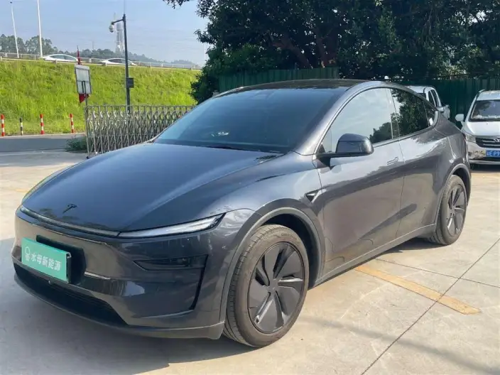 Model Y 2025 Model Rear-wheel drive version – фото 1