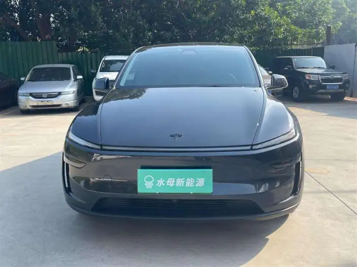 Model Y 2025 Model Rear-wheel drive version – фото 2