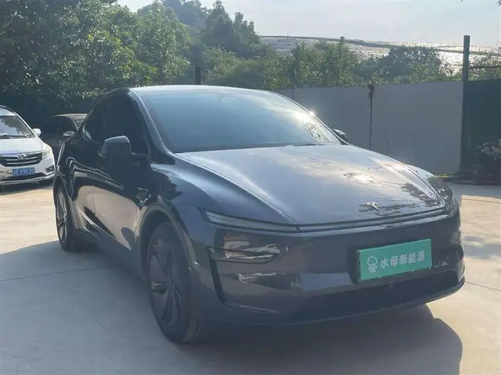 Model Y 2025 Model Rear-wheel drive version – фото 3