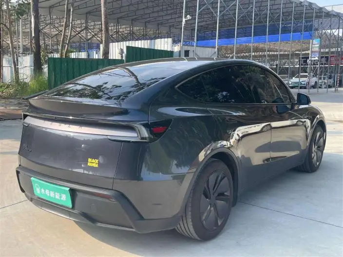 Model Y 2025 Model Rear-wheel drive version – фото 7