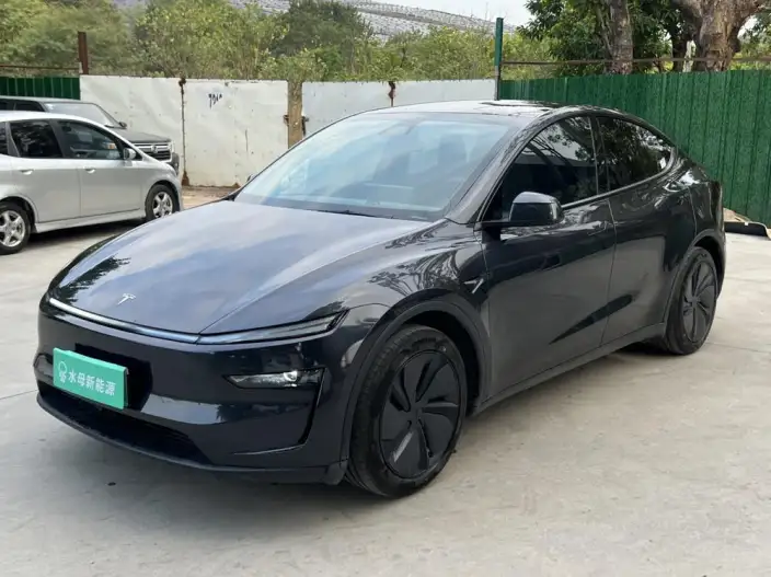 Model Y 2025 Model Rear-wheel drive version – фото 1