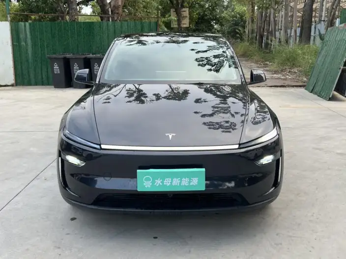 Model Y 2025 Model Rear-wheel drive version – фото 2