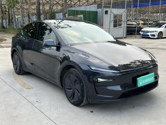 Model Y 2025 Model Rear-wheel drive version – фото 3
