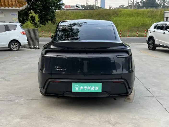 Model Y 2025 Model Rear-wheel drive version – фото 5
