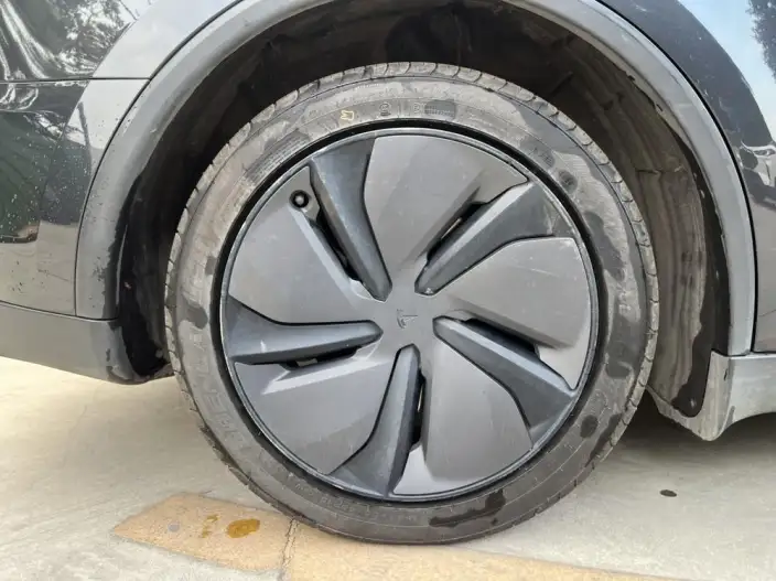 Model Y 2025 Model Rear-wheel drive version – фото 8