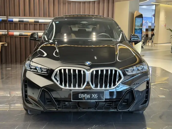 BMW X6 2023 Model Facelift xDrive40i M Sports Set – фото 2