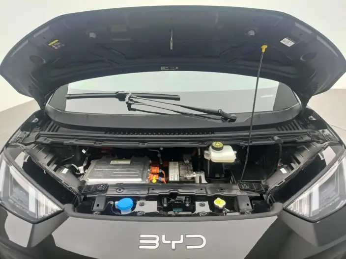 BYD Seagull 2025 Model 405KM Feixiang Edition – фото 10