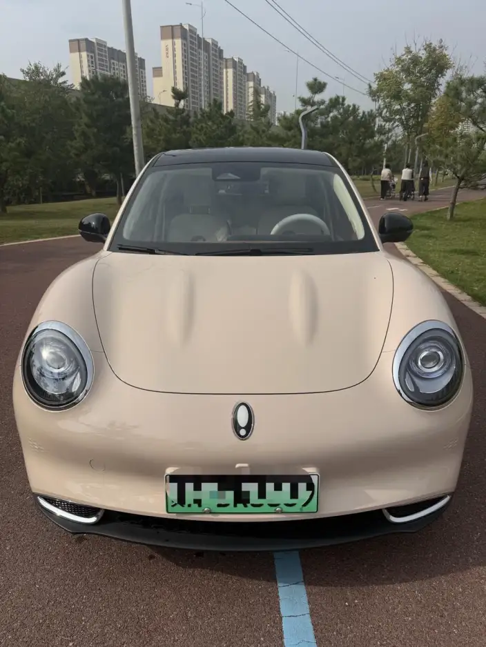ORA Good Cat 2023 Model 401km Standard Battery Life Luxury Model Lithium Iron Phosphate