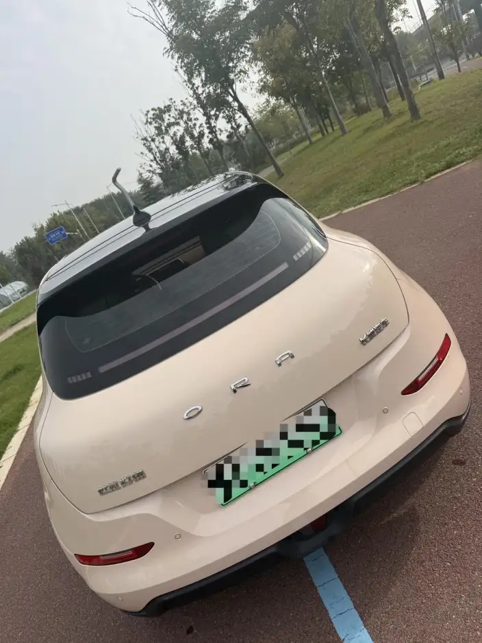 ORA Good Cat 2023 Model 401km Standard Battery Life Luxury Model Lithium Iron Phosphate – фото 7
