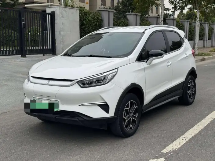 Yuan Pro 2021 Model 401KM Luxury Model – фото 1