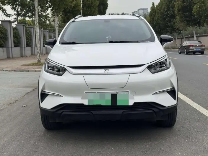 Yuan Pro 2021 Model 401KM Luxury Model – фото 2