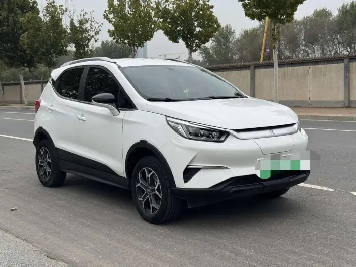 Yuan Pro 2021 Model 401KM Luxury Model – фото 3