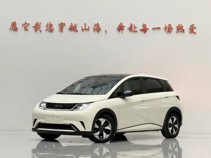 BYD Dolphin 2024 Model Honor Edition 420km Free Edition – фото 1