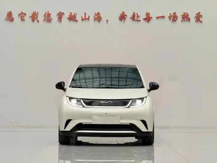 BYD Dolphin 2024 Model Honor Edition 420km Free Edition – фото 2