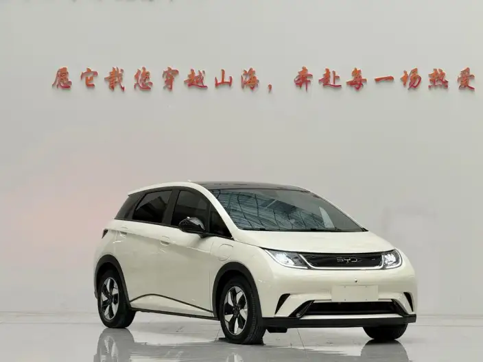 BYD Dolphin 2024 Model Honor Edition 420km Free Edition – фото 3