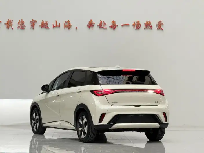 BYD Dolphin 2024 Model Honor Edition 420km Free Edition – фото 4