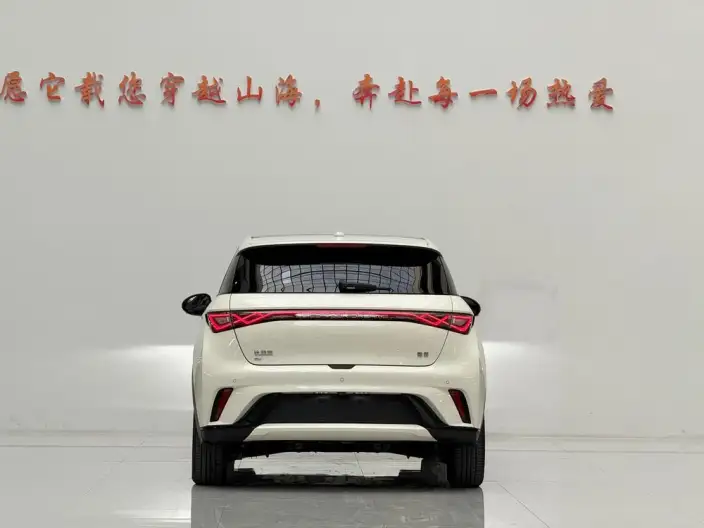 BYD Dolphin 2024 Model Honor Edition 420km Free Edition – фото 5