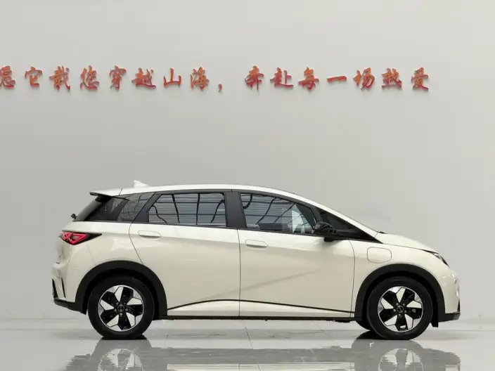 BYD Dolphin 2024 Model Honor Edition 420km Free Edition – фото 6