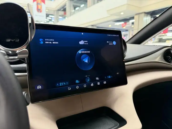 BYD Dolphin 2024 Model Honor Edition 420km Free Edition – фото 8