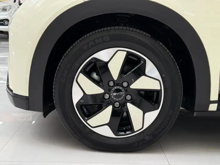 BYD Dolphin 2024 Model Honor Edition 420km Free Edition – фото 10