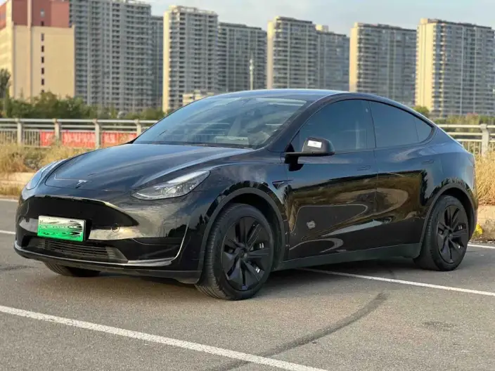 Model Y 2022 Model Facelift Rear-wheel drive version – фото 1