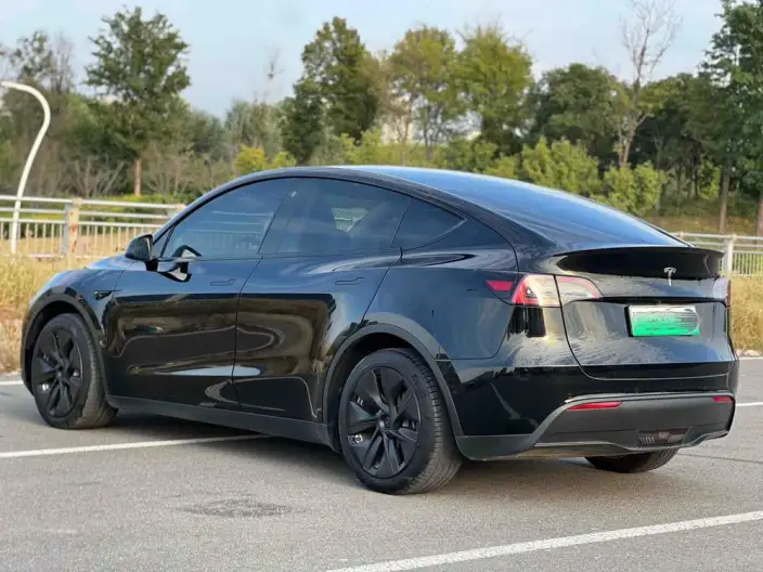 Model Y 2022 Model Facelift Rear-wheel drive version – фото 4