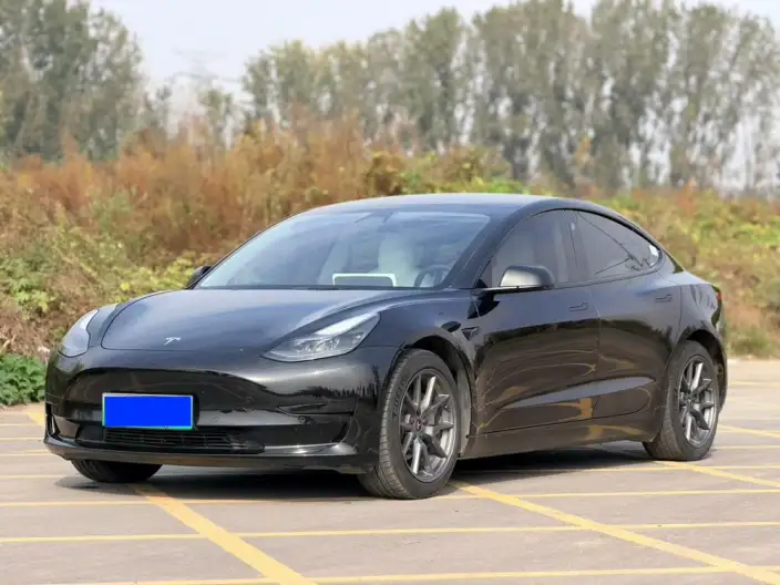 Model 3 2022 Model Rear-wheel drive version – фото 1