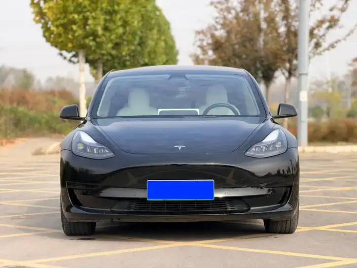 Model 3 2022 Model Rear-wheel drive version – фото 2