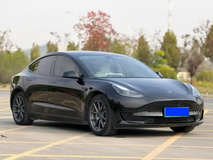 Model 3 2022 Model Rear-wheel drive version – фото 3