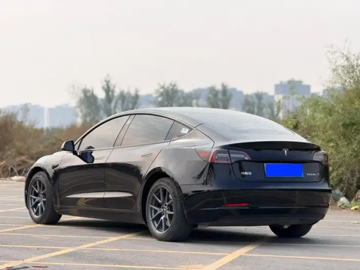 Model 3 2022 Model Rear-wheel drive version – фото 4