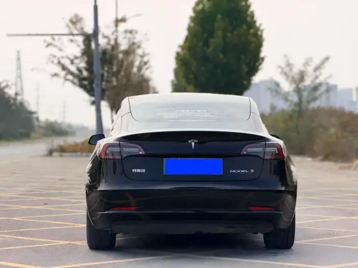 Model 3 2022 Model Rear-wheel drive version – фото 5