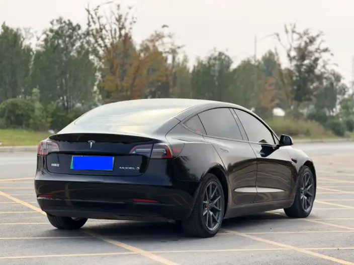 Model 3 2022 Model Rear-wheel drive version – фото 6