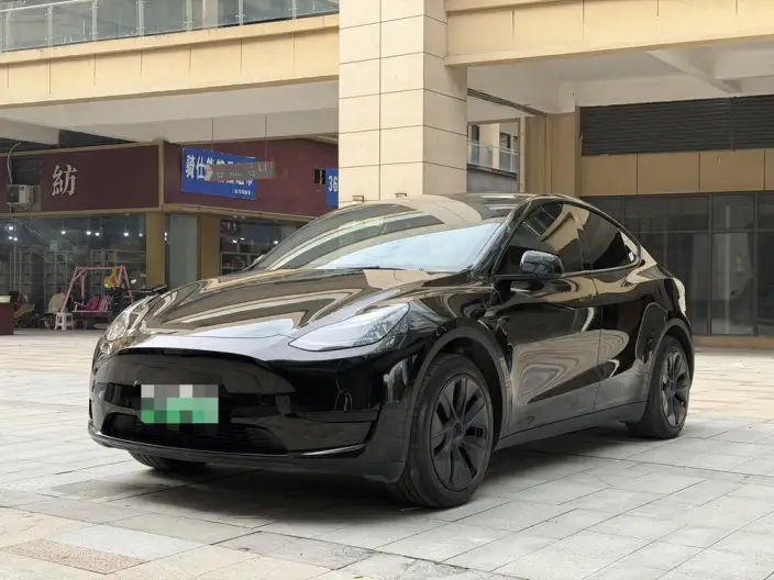 Model Y 2023 Model Rear-wheel drive version – фото 1