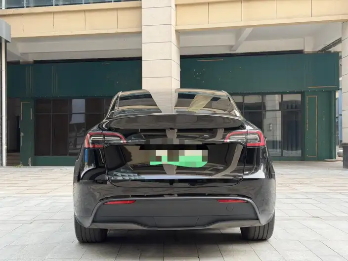 Model Y 2023 Model Rear-wheel drive version – фото 6