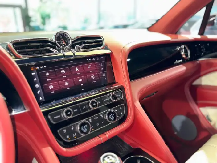Bentayga 2023 Model 4.0T V8 Yadu Edition – фото 7