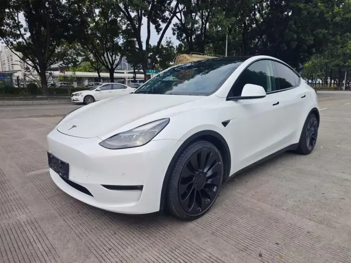 Model Y 2023 Model Performance High performance All-wheel drive version – фото 1