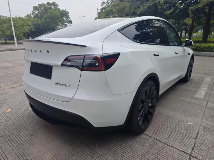 Model Y 2023 Model Performance High performance All-wheel drive version – фото 7
