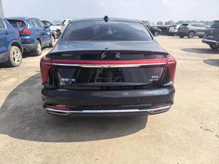 Hongqi H5 2023 Model 2.0T Automatic Flag Enjoy Edition – фото 5